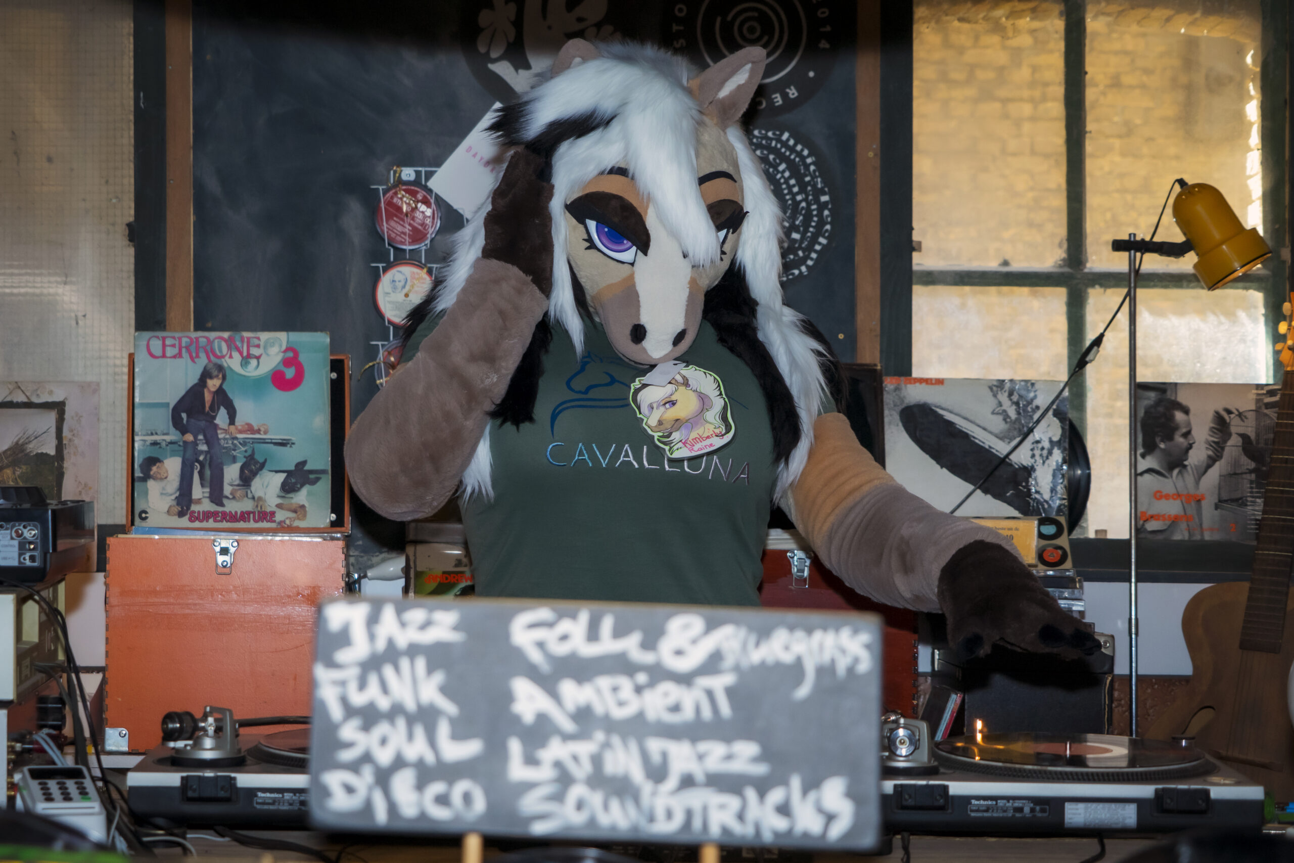 Furry fandom